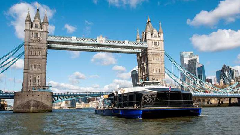 Thames River cruise