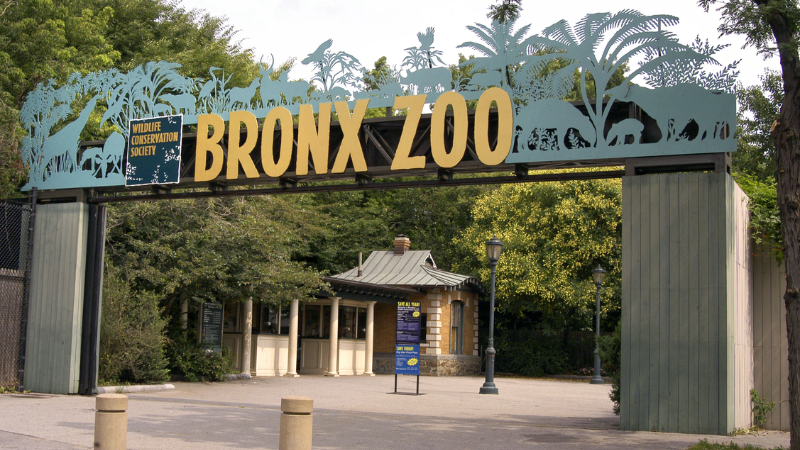 Bronx Zoo, NY