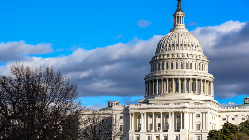 United States Capitol Building Washington D.C.