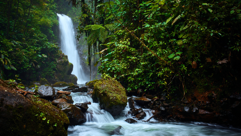 La Paz Waterfall Costa Rica